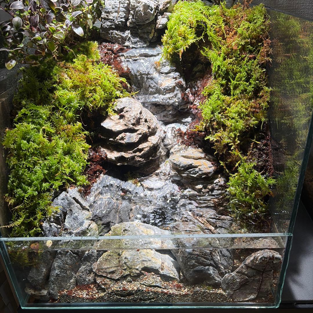 【受注生産】大きな滝のアクアテラリウム