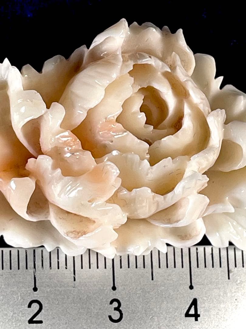 天然珊瑚細密彫刻 「牡丹」帯留 和装小物サンゴ彫刻　ＷＺー053