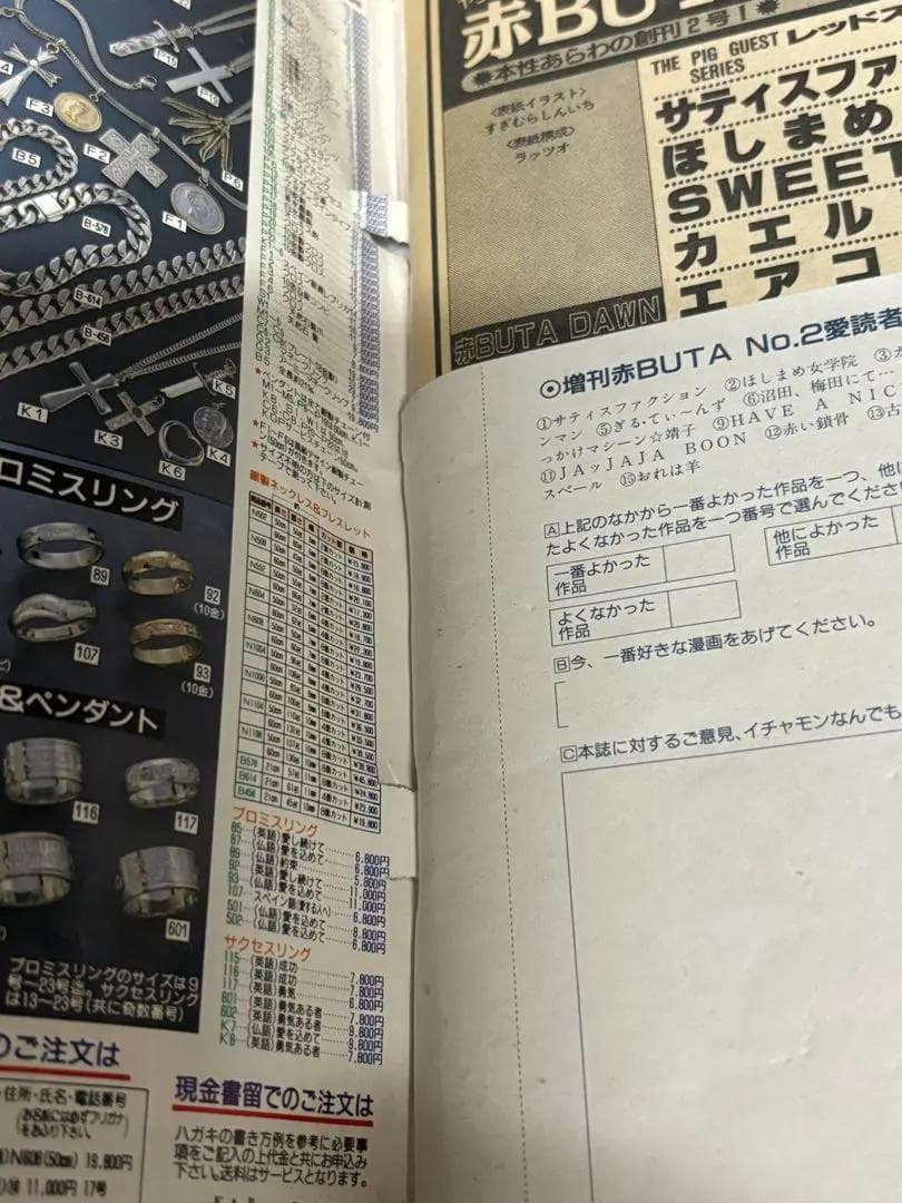 華倫変「赤い鎖骨」カラーページあり ヤングマガジン 増刊号 1995年