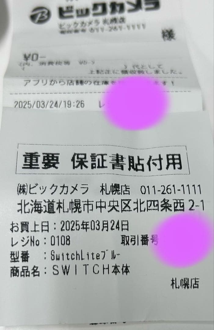 2025年3月購入 Nintendo Switch Lite