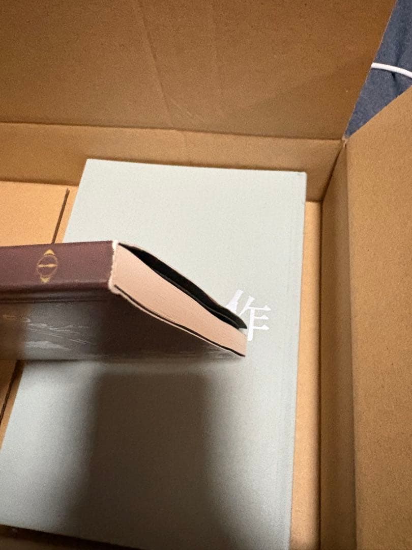 ヨルシカ　だから僕は音楽をやめた　エルマ　盗作　初回限定版のグッズのみ