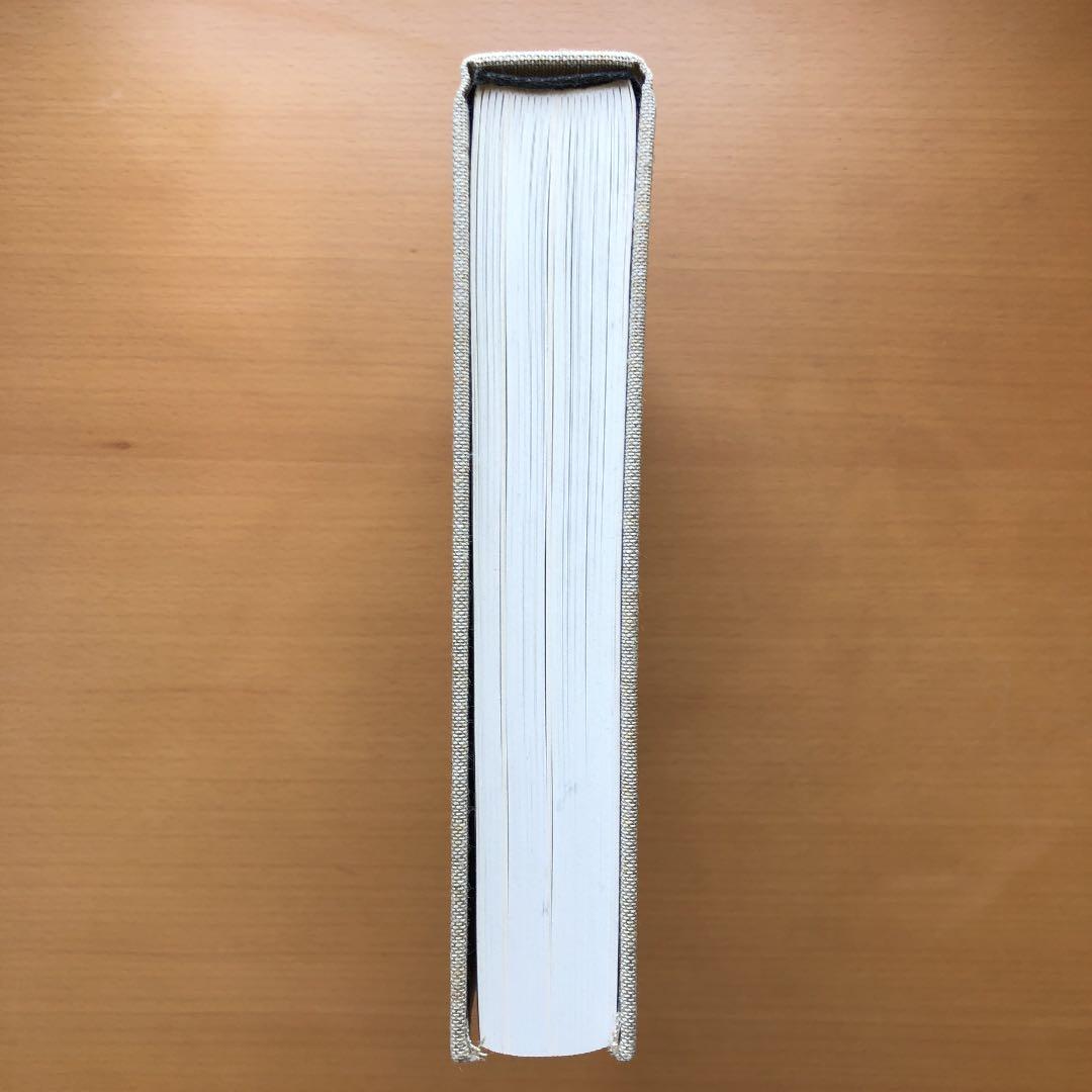 【希少品】ゲルハルトリヒター　オーバーペインティド　フォトグラフス