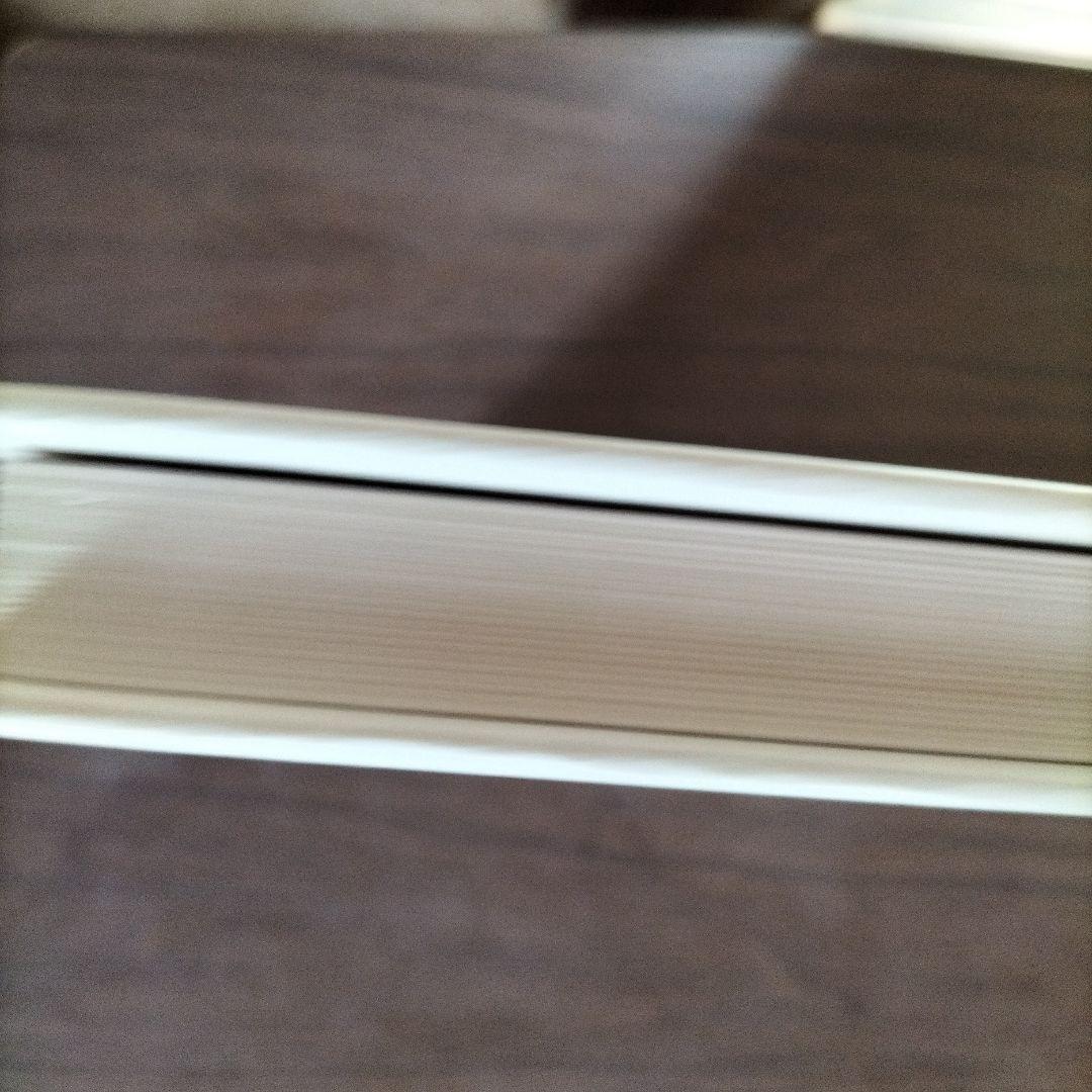 【美品】1983年の初版　エゴン・シーレ画集　27×29×3cm 大型判