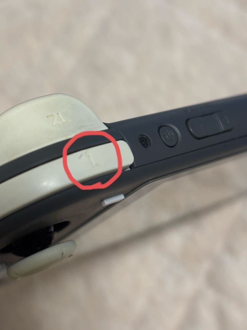 Switch Light グレー 【本体のみ】