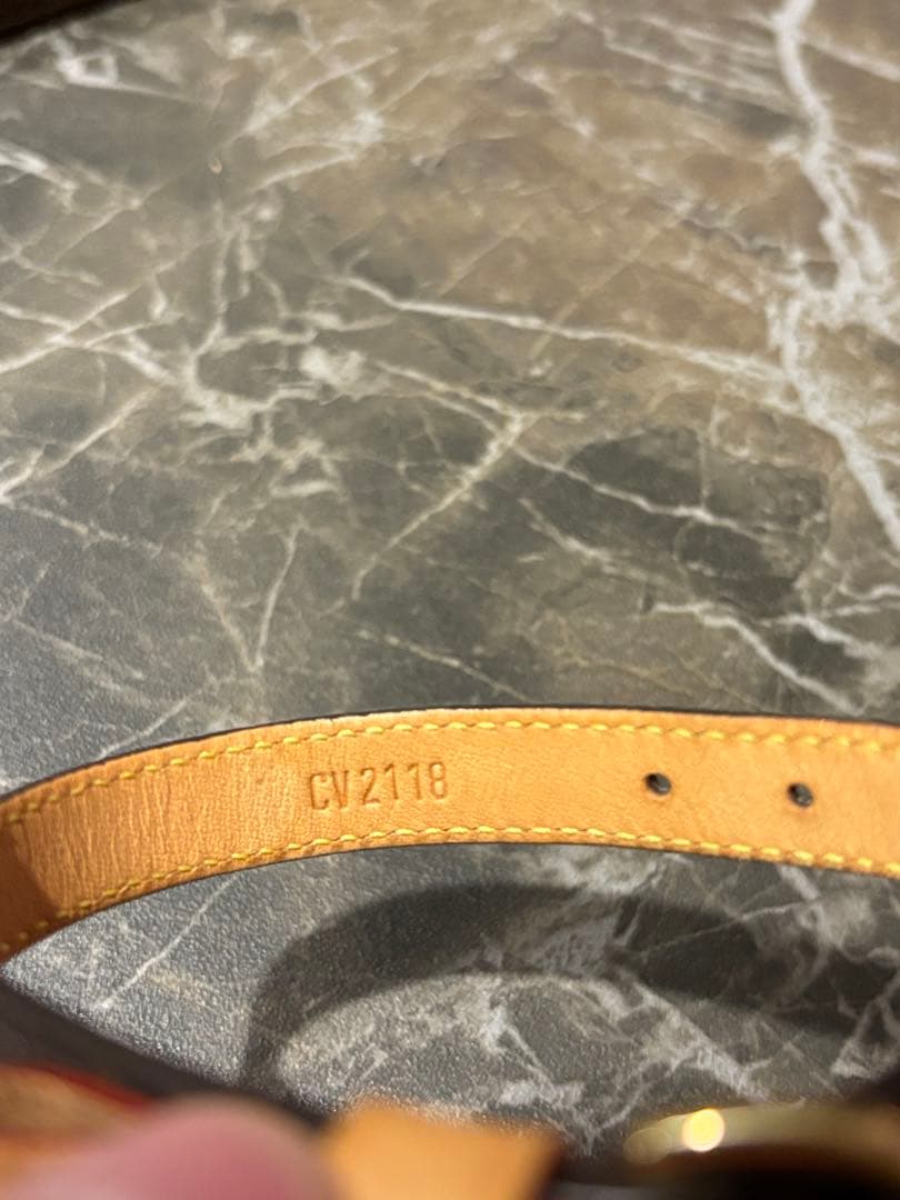 【小型犬用】LOUIS VUITTON 首輪 リード コリエ・バクスターXS