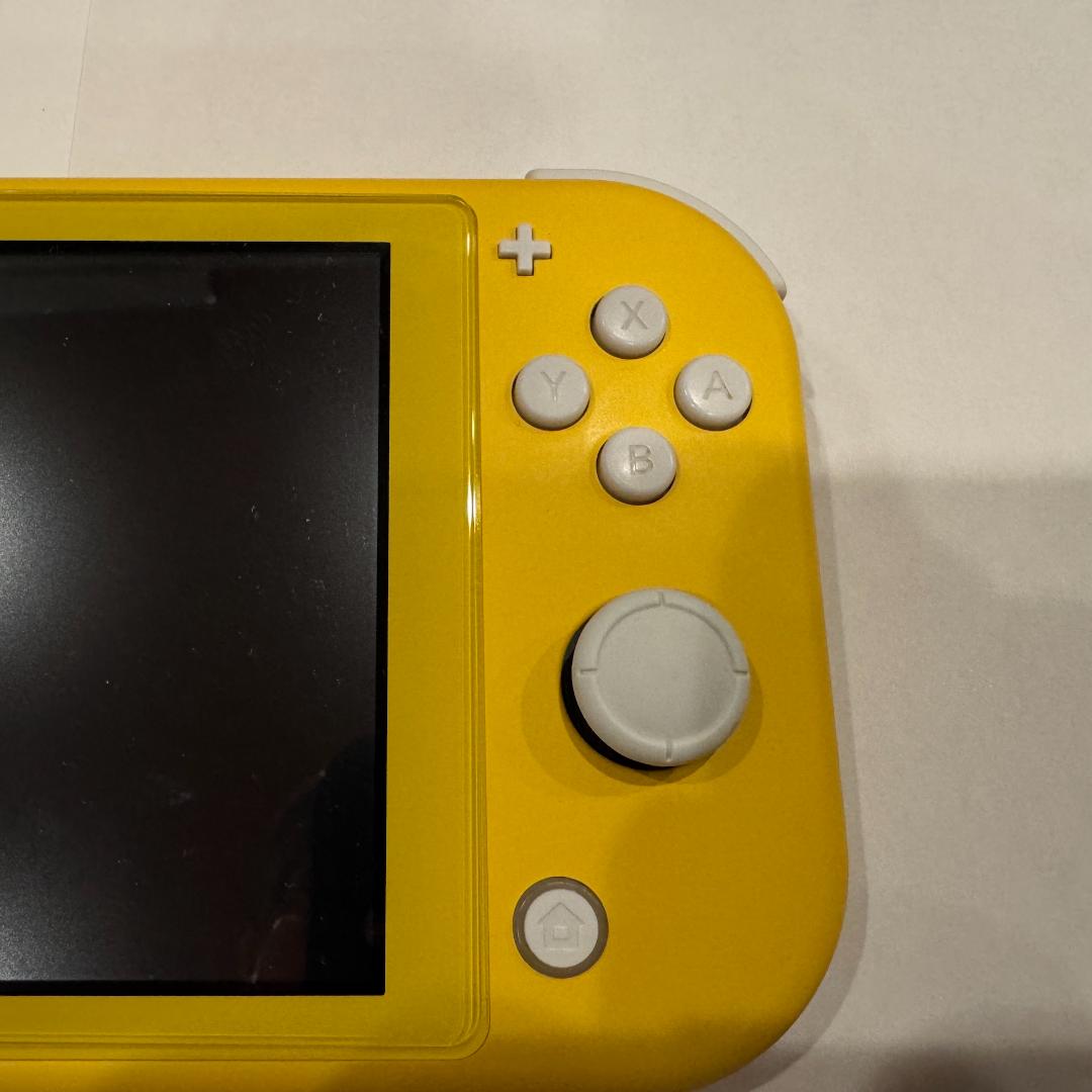 Nintendo Switch switch lite