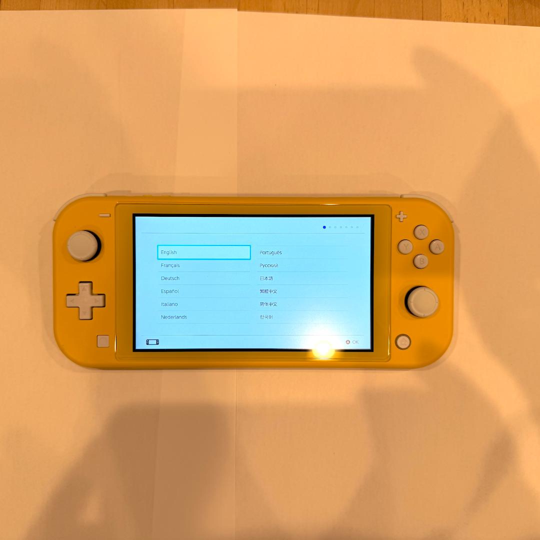 Nintendo Switch switch lite