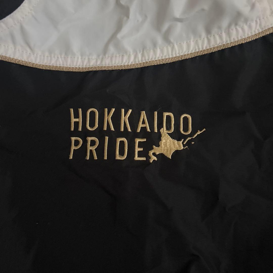 【レア】北海道日本ハムファイターズ　Mizuno Fighters ジャケット