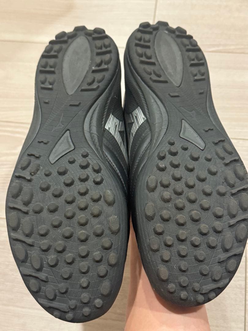 モレリアネオ　ベータ　26.5