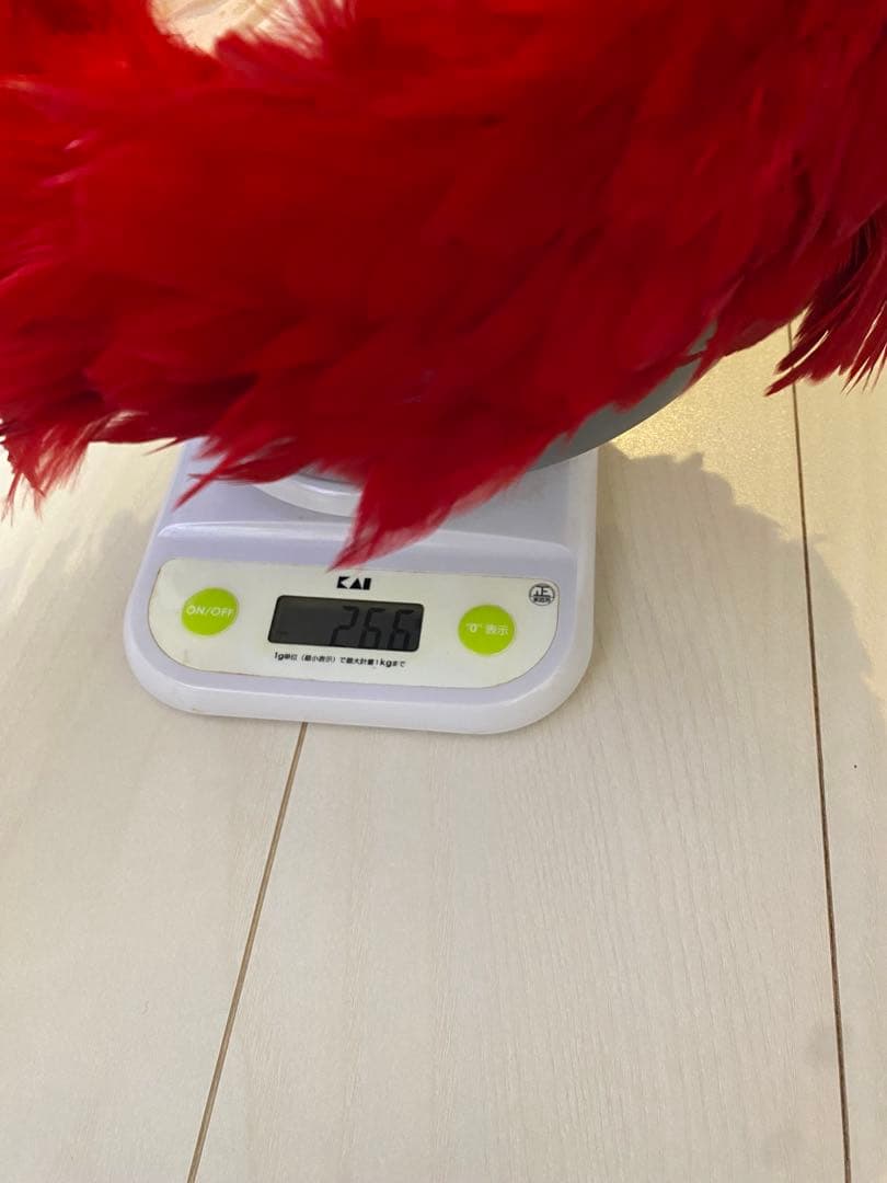 【トンコ】フラダンス　ウリウリ