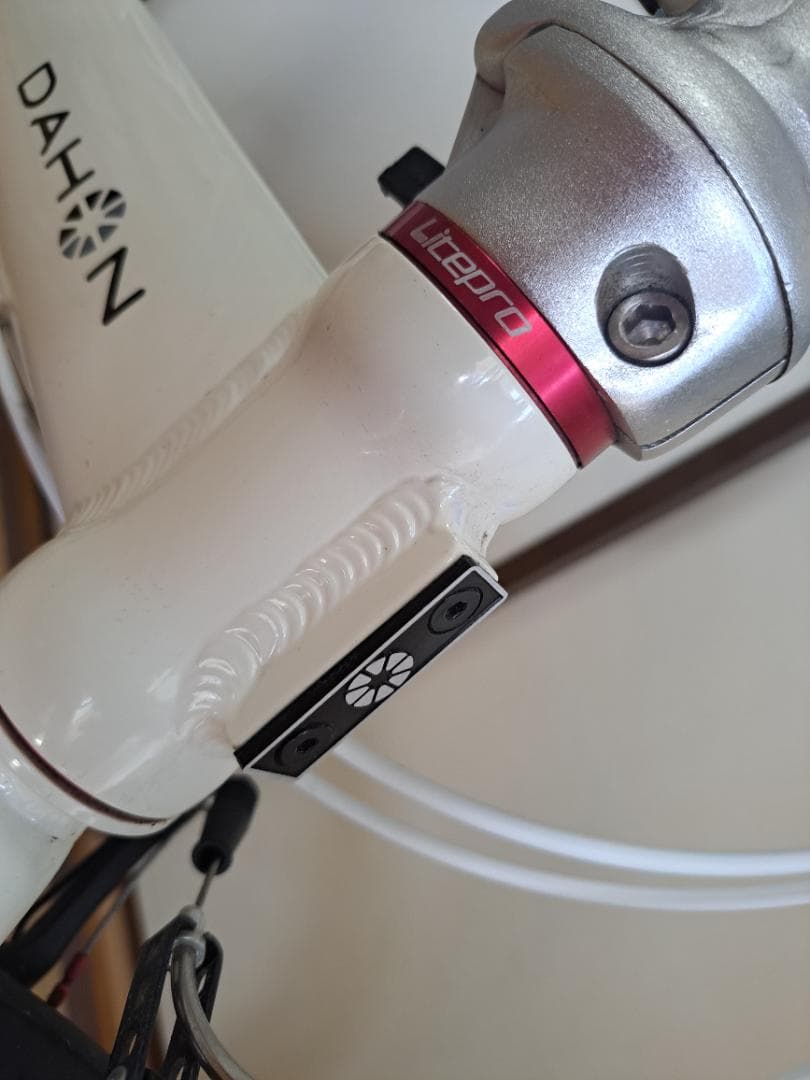 ダホン ルート10sフルカスタム　　　　　　　　DAHON ROUTE