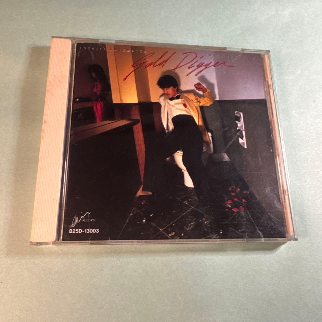 角松敏生／GOLD DIGGER〜with true love〜