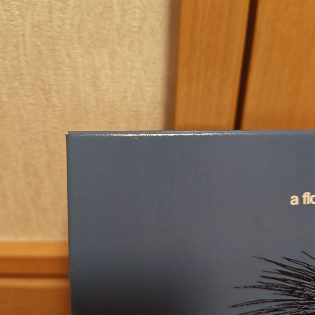 a flood of circle 伝説の夜を君と テイチクオンライン盤