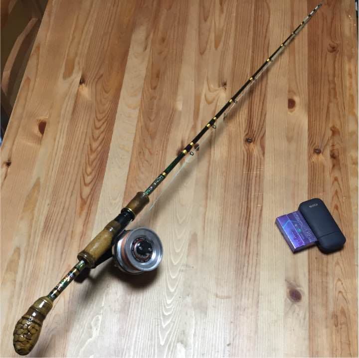 黒竹  エクスプライド  1100