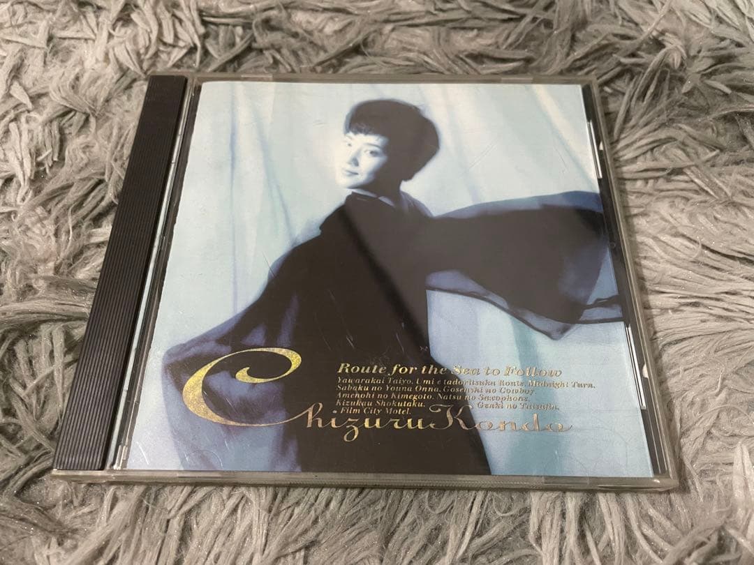 近藤千鶴 海へたどりつくルート CD