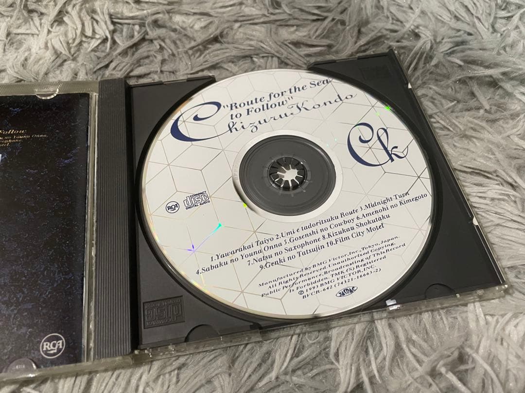 近藤千鶴 海へたどりつくルート CD