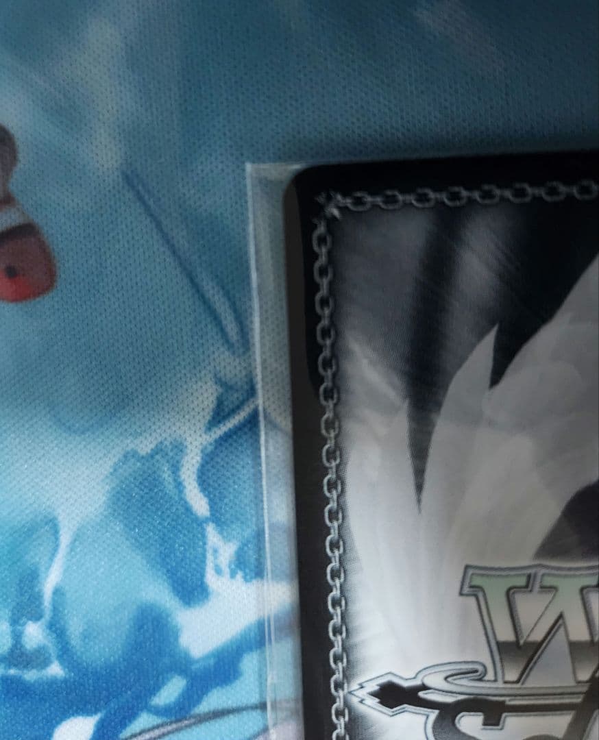 ハードボイルドなアウトロー集団 CXチャレンジ 優勝 ヴァイスシュヴァルツ