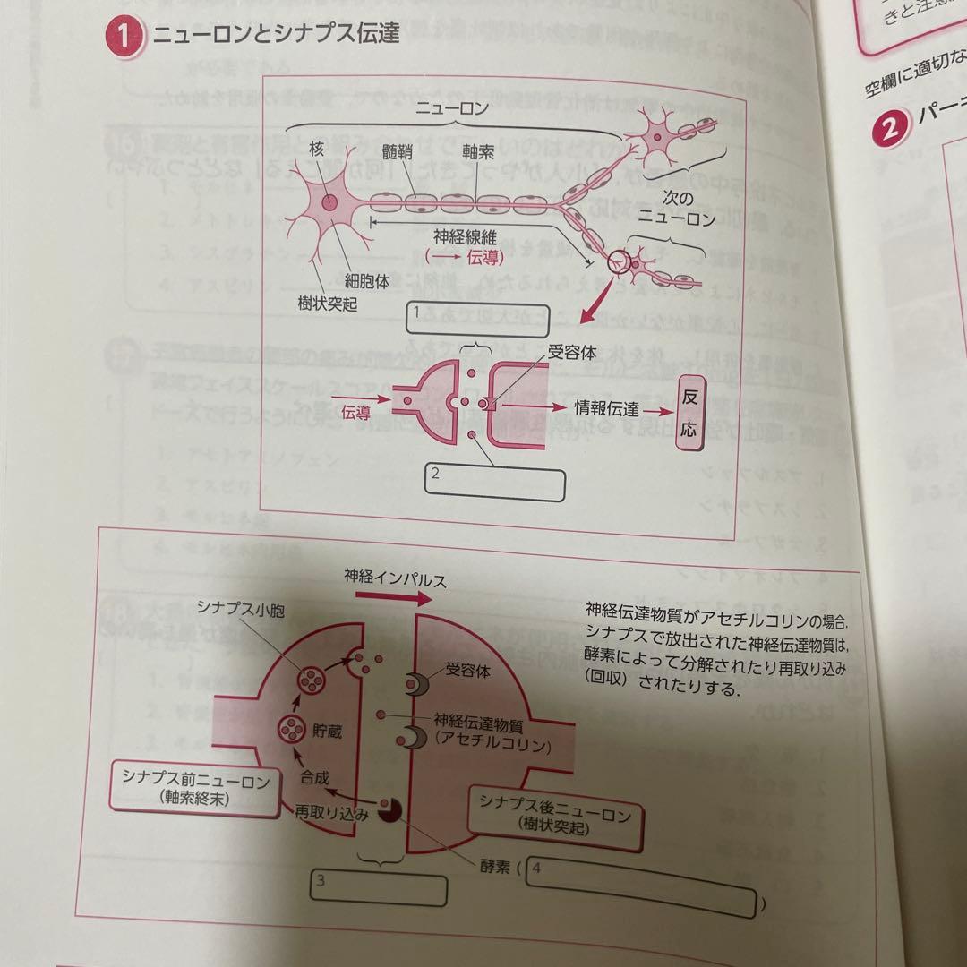 【ぽっぷこーん　看護学生向け】薬がみえる 4冊、薬理学の参考書4冊