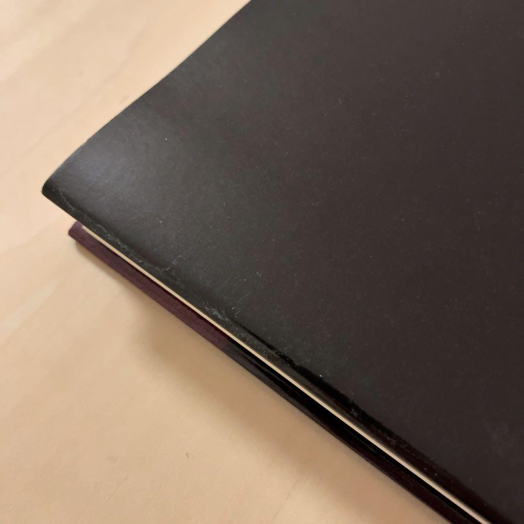 ソールライター 写真集 アーリーカラー Saul Leiter