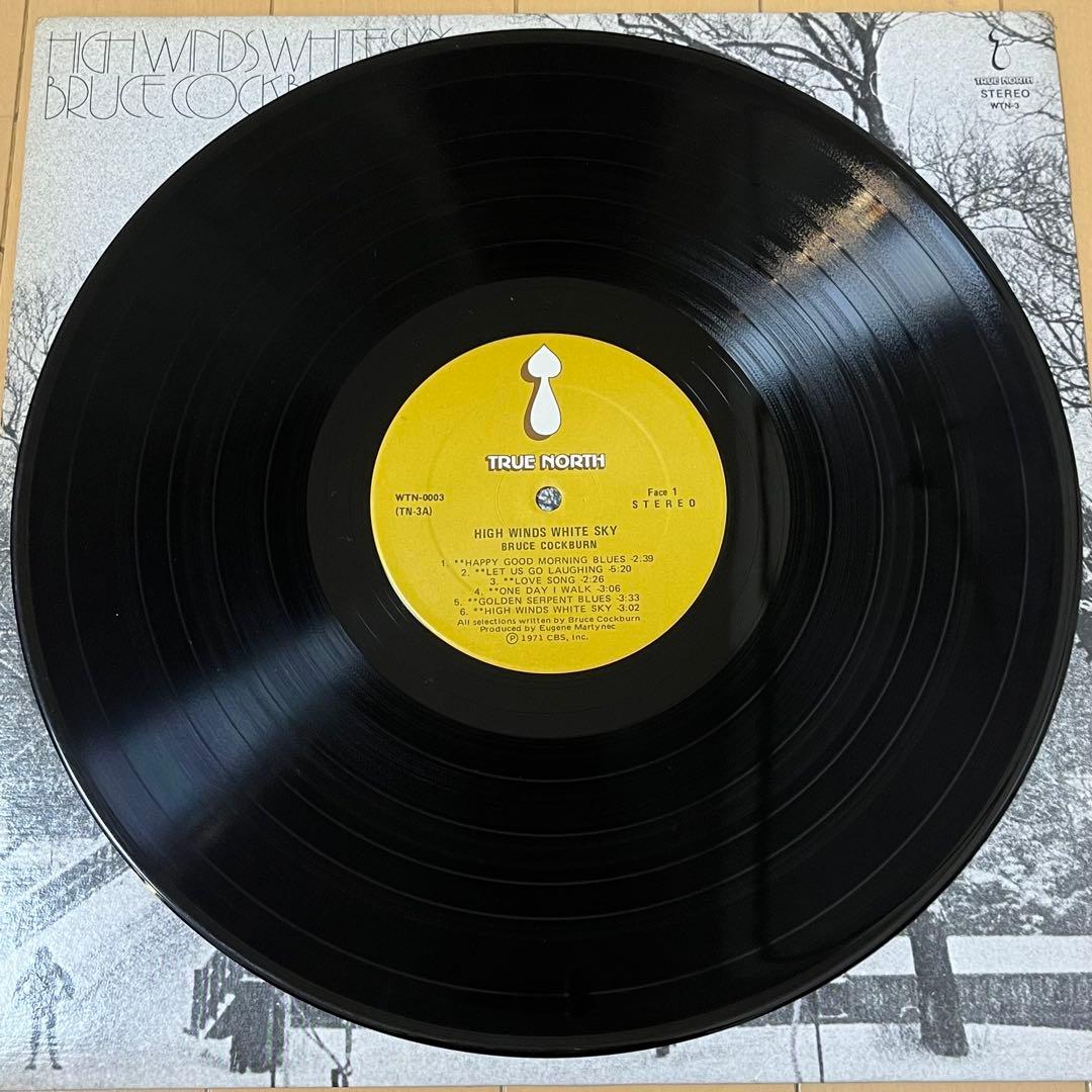 レコード SSW名盤 Bruce Cockburn フォーク レアグルーヴ LP