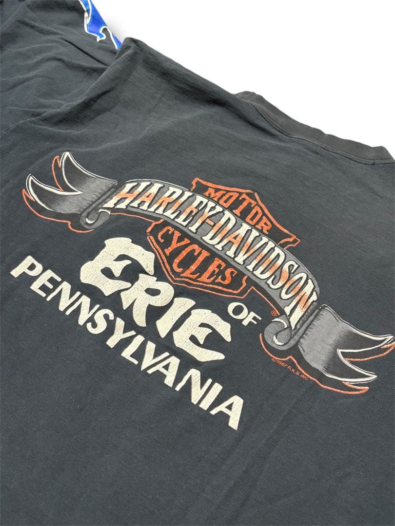 【max 様】専用 Harley Davidson ブルー フレイム ロン