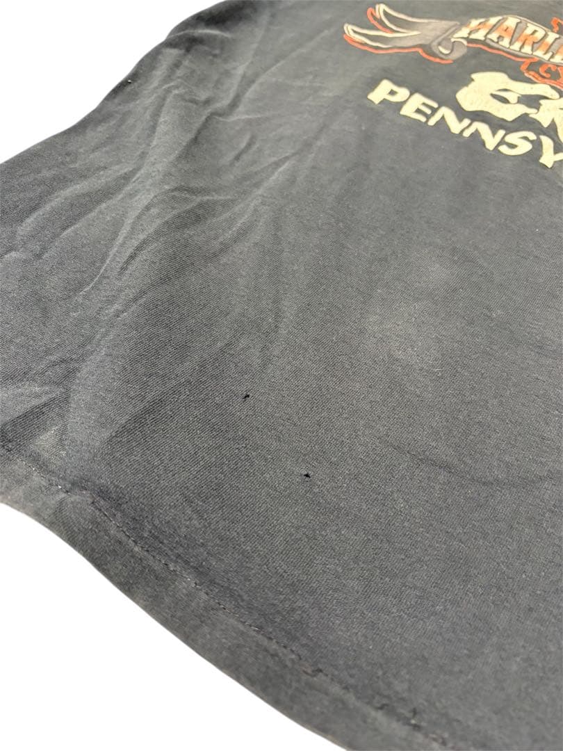 【max 様】専用 Harley Davidson ブルー フレイム ロン