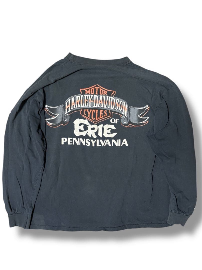 【max 様】専用 Harley Davidson ブルー フレイム ロン