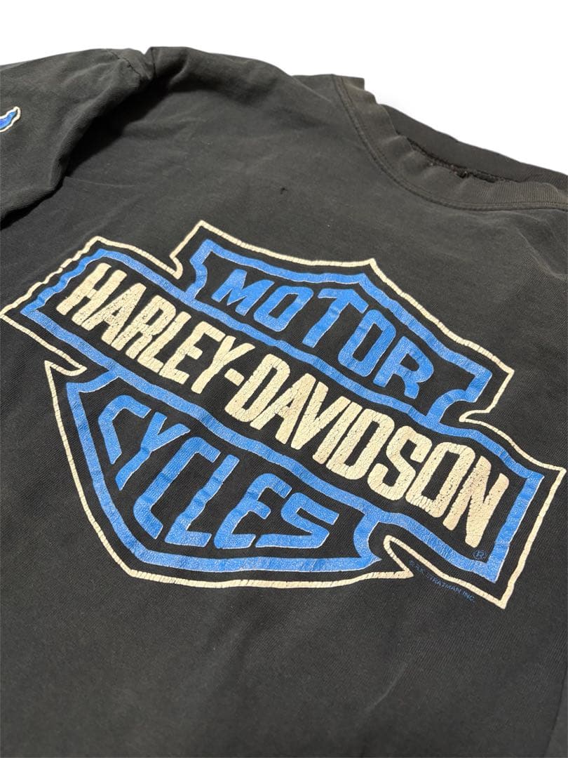 【max 様】専用 Harley Davidson ブルー フレイム ロン