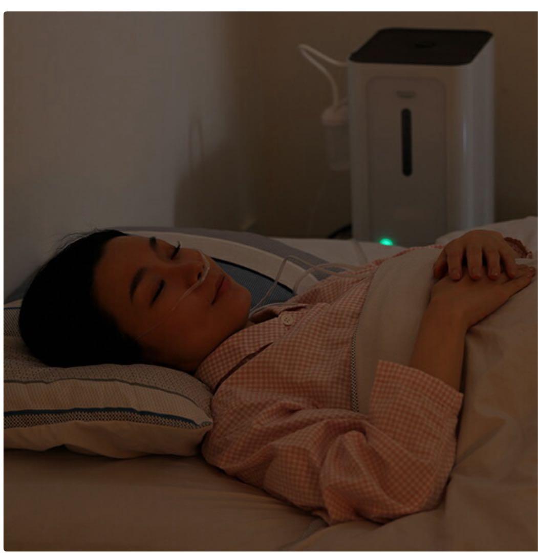 値下げ！水素吸入器　インタークリスティーヌ　シェルスラン・プロ　日本製