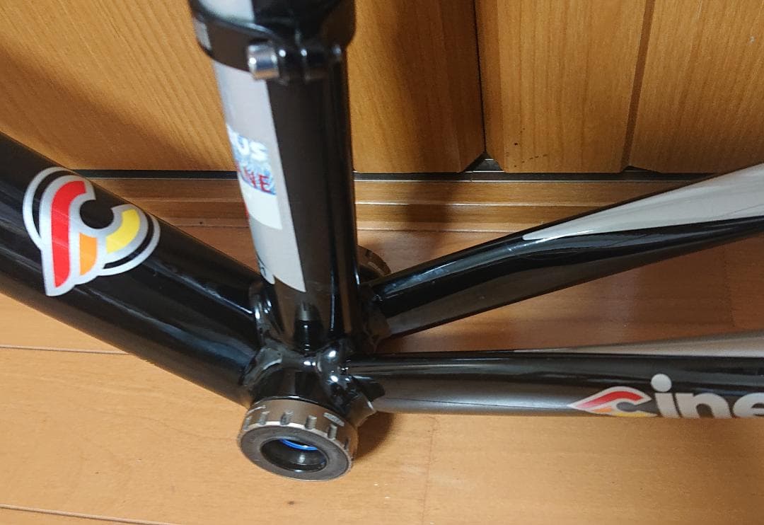 チネリ エクスペリエンス フレーム