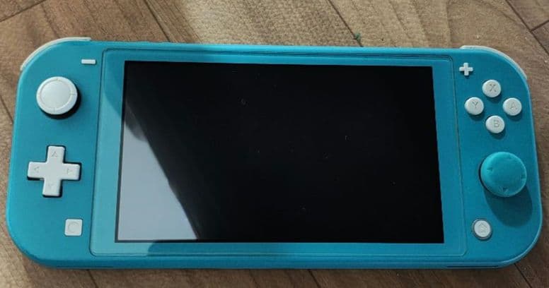 会場公式ジャンク品NintendoSwitch Lite ハードケース付き