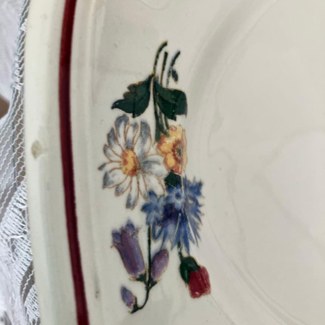 （希少）アグレスト　オーバル皿　サルグミンヌ