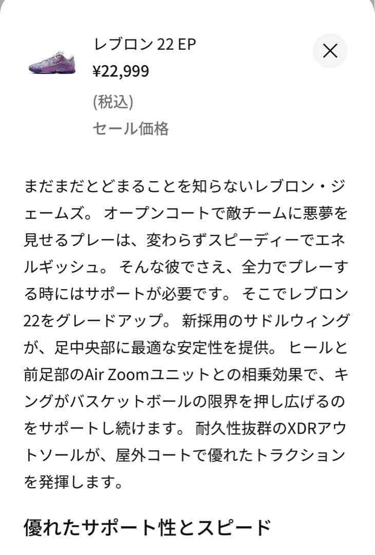 NIKE レブロン22 EP バスケットボールシューズ キング　Xmas