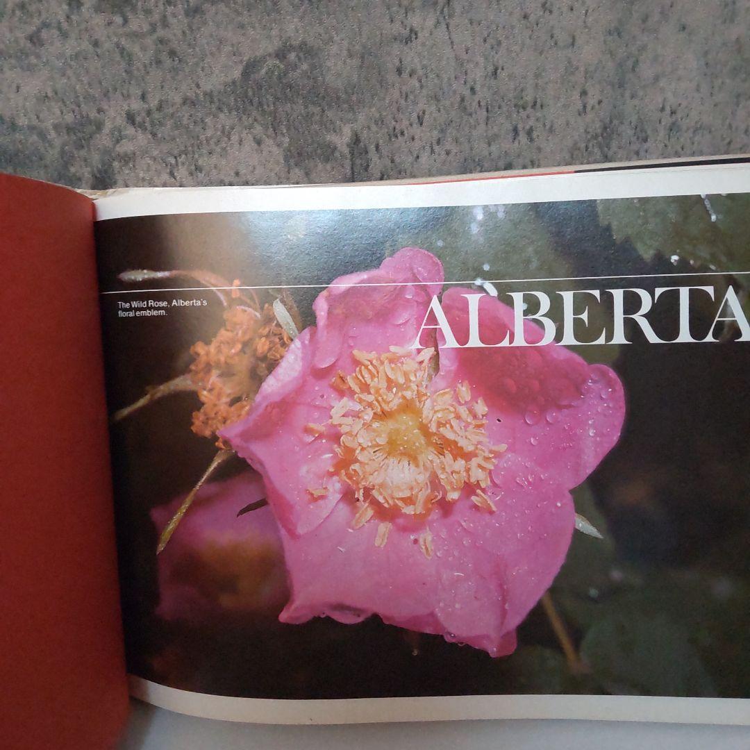 The Colour of a by Bill Brooks 洋書