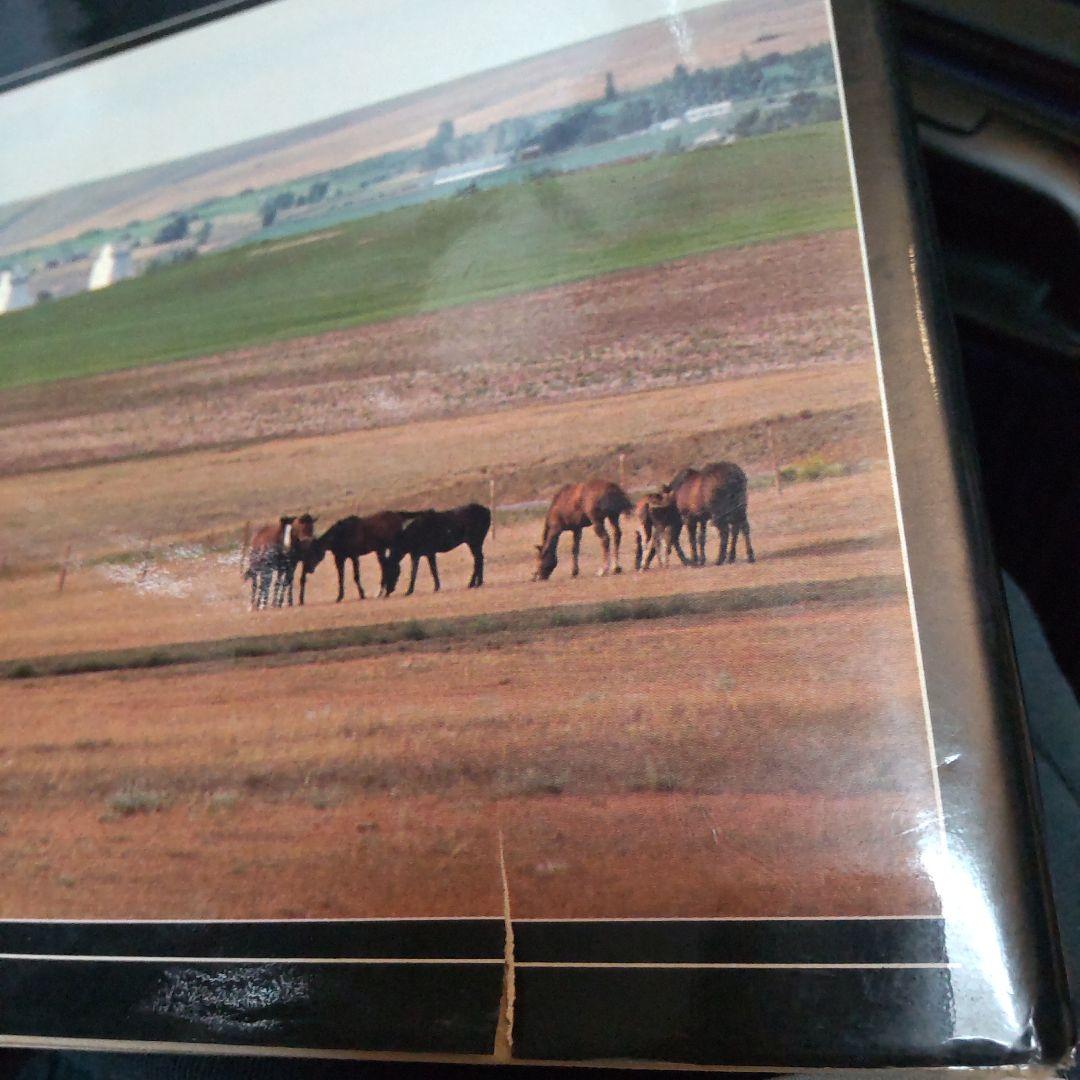 The Colour of a by Bill Brooks 洋書