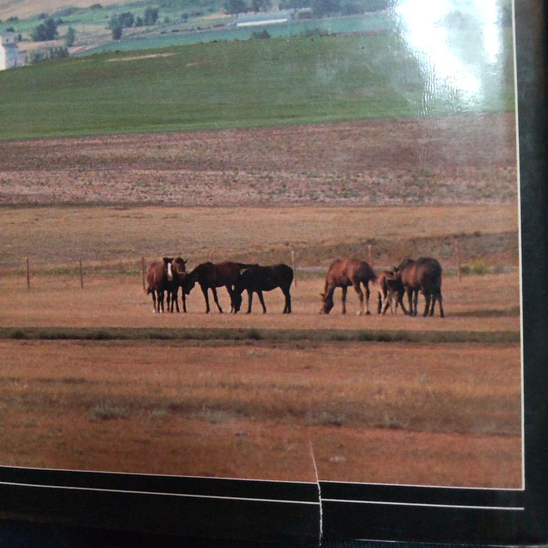 The Colour of a by Bill Brooks 洋書