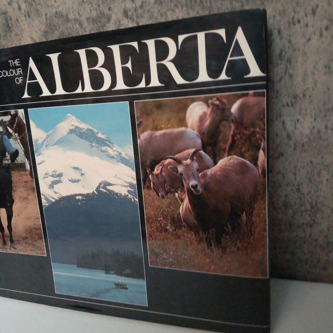 The Colour of a by Bill Brooks 洋書