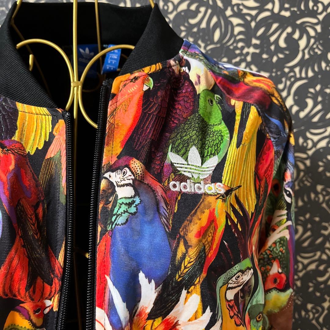 たらこ‼️adidas カラフル鳥プリント ジャージセット