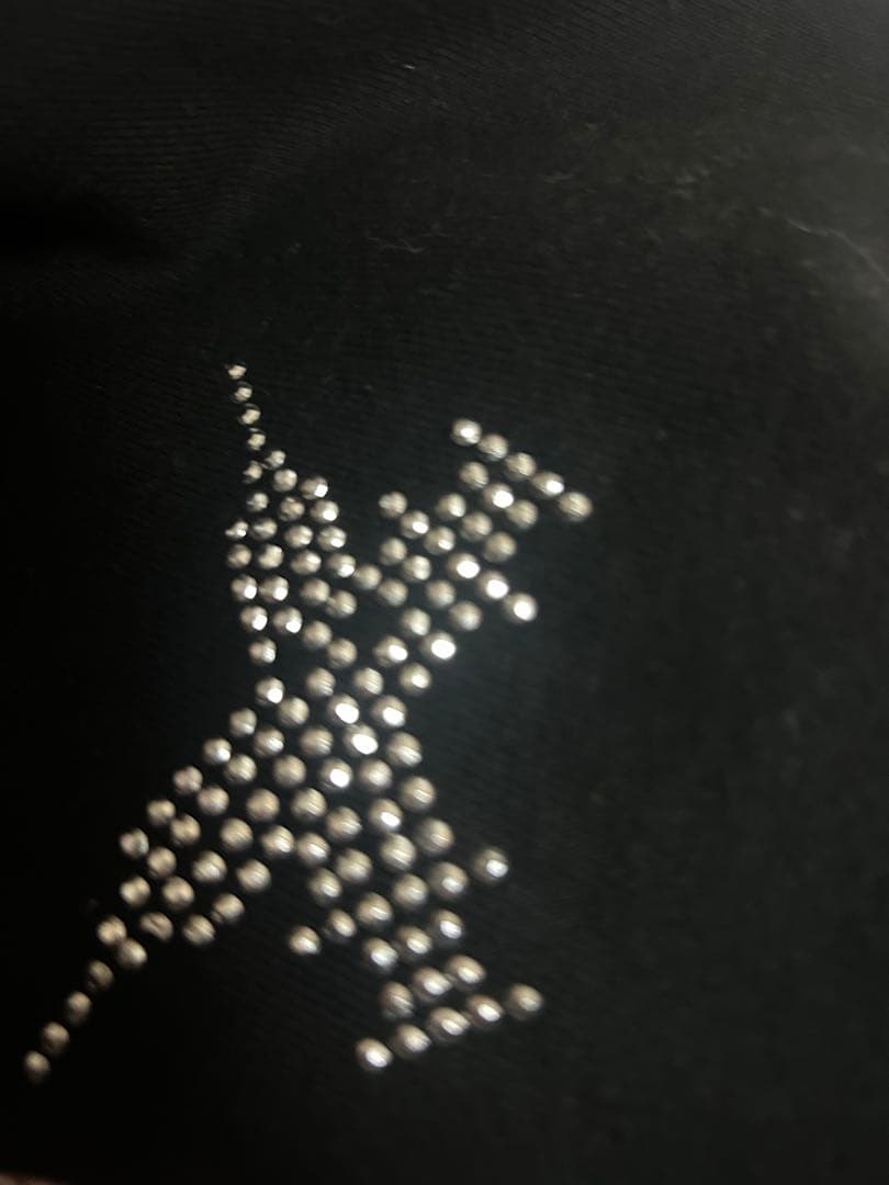 【GALFY】ピカピカ注射器パーカー ブラック×中型犬(L)