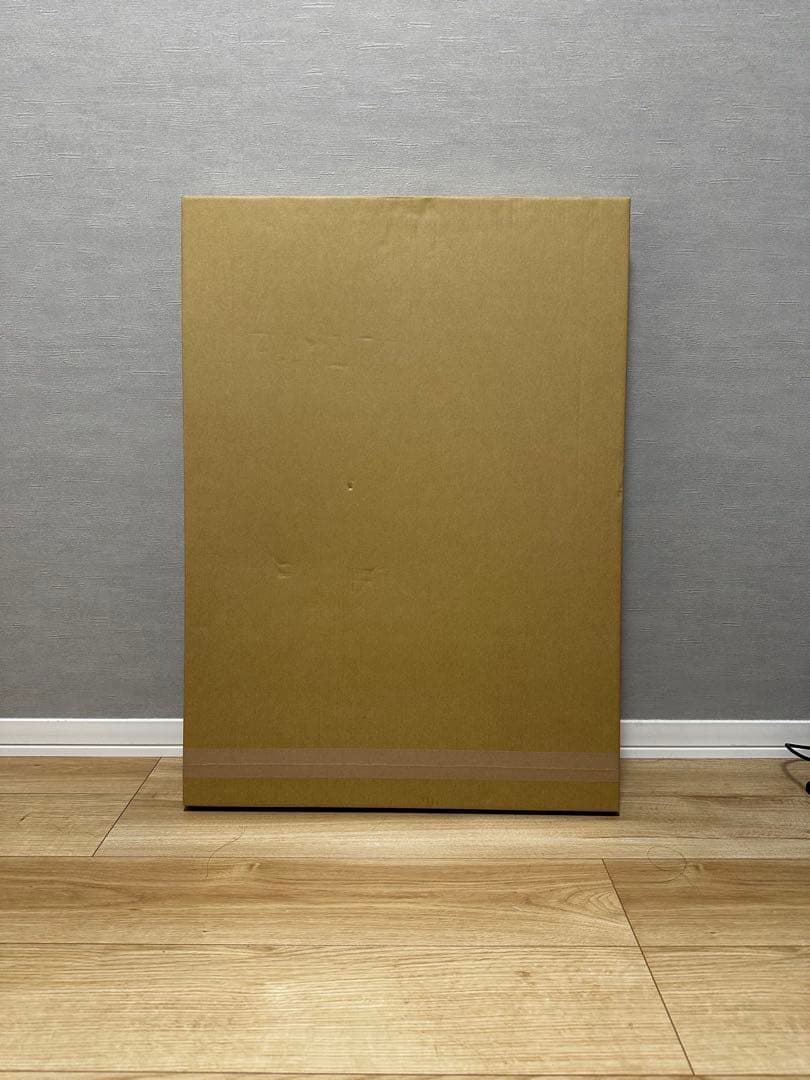 GIRUVI 「Grow on the Wall」Gracilius