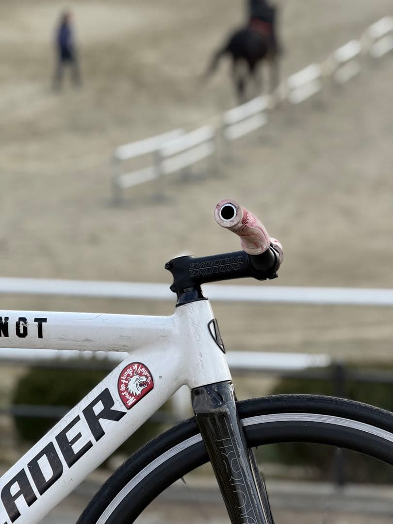 完成車前期LEADER 735 固定・シングル