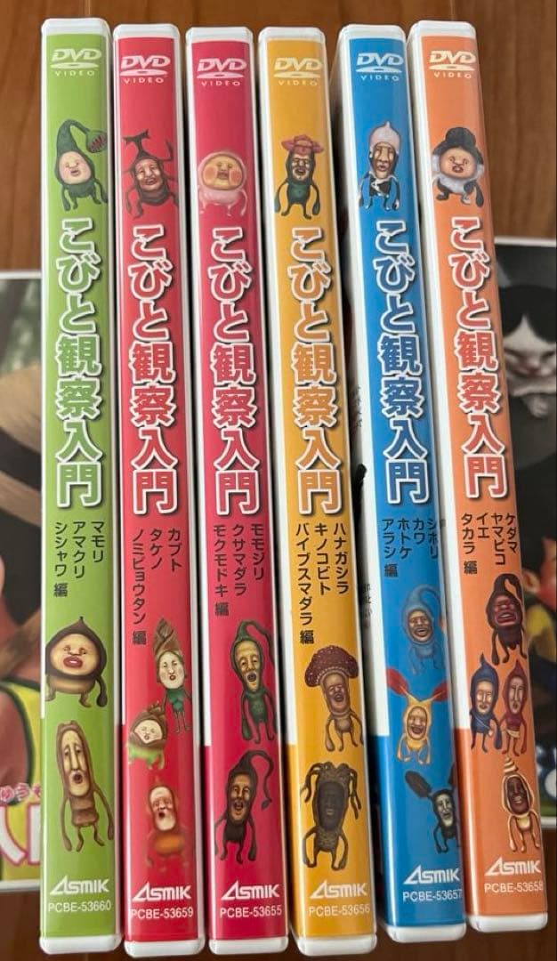 こびと観察入門　DVD BOX ２セット　単品2本　こびとづかん　中古DVD6枚