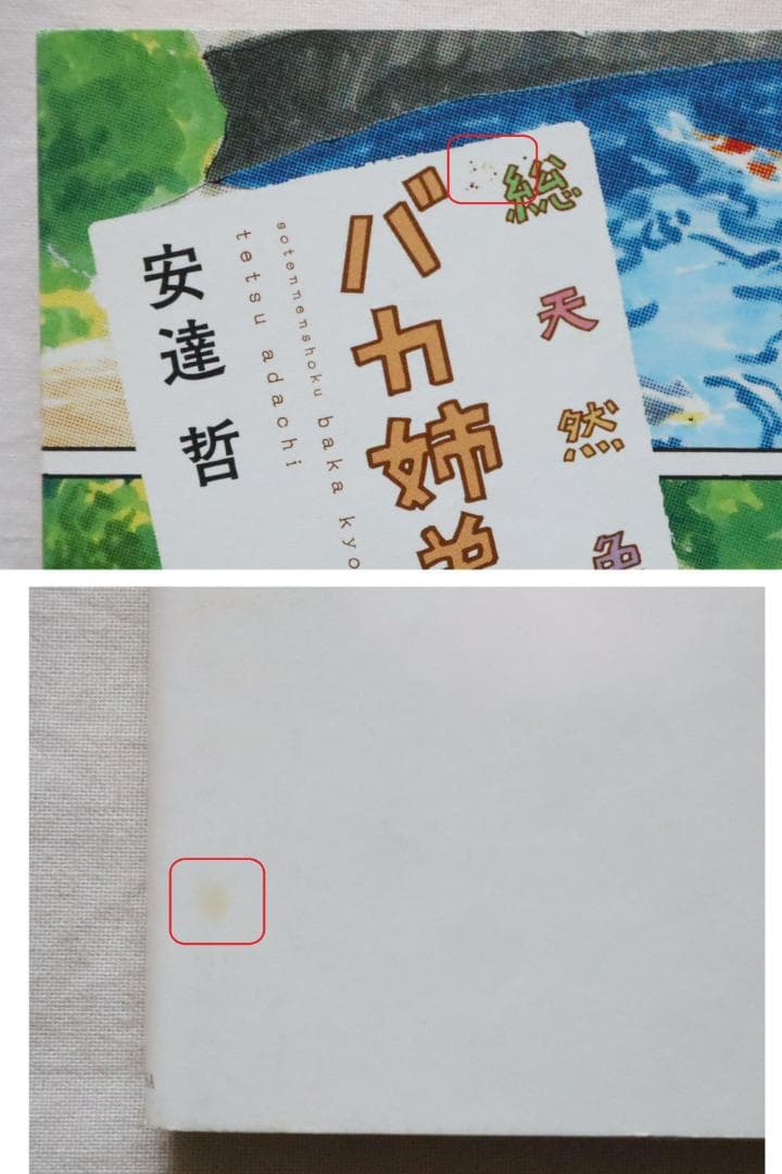 総天然色 バカ姉弟 全5巻 安達哲著　／全巻セット