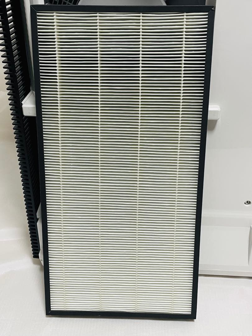 美品 パナソニック 次亜塩素酸 空間除菌脱臭機 F-MV2100 2021年製