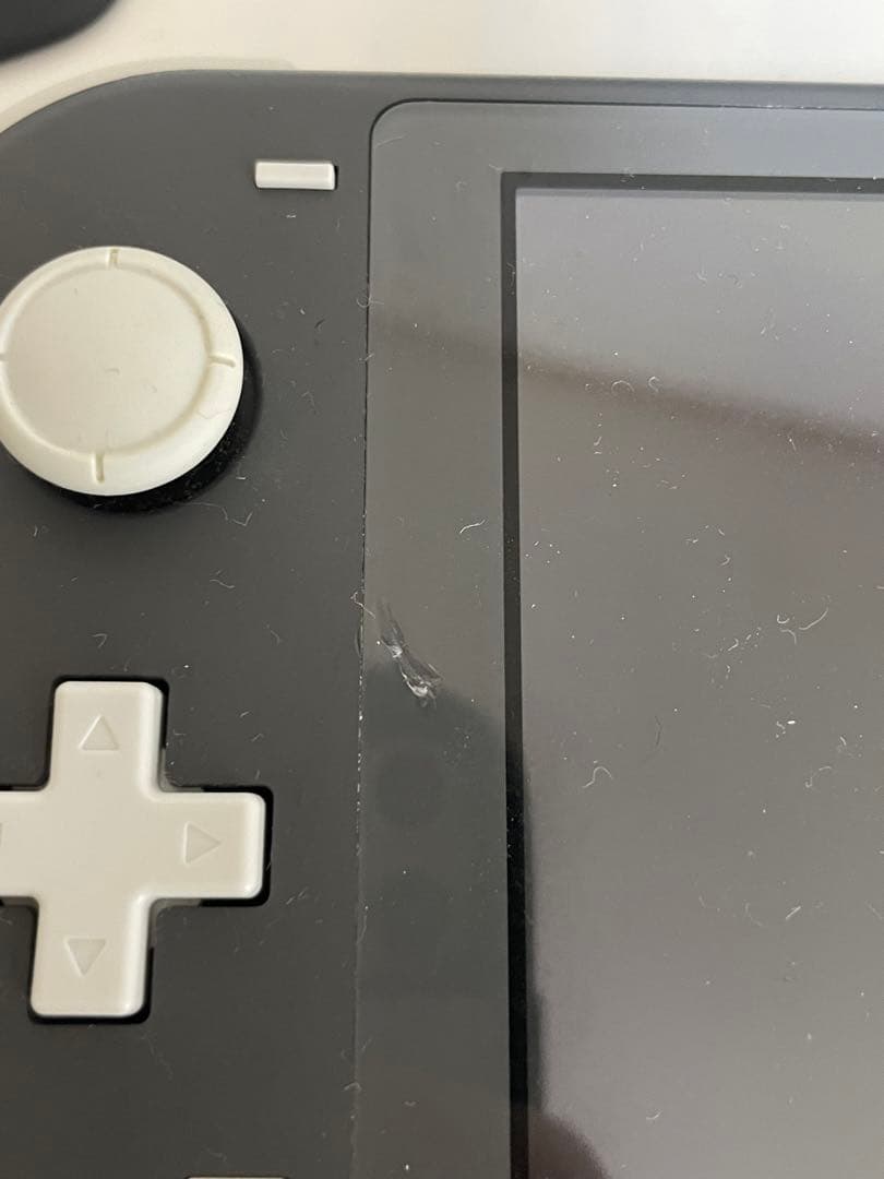 Nintendo Switch Lite 本体 + 充電器 + ケース