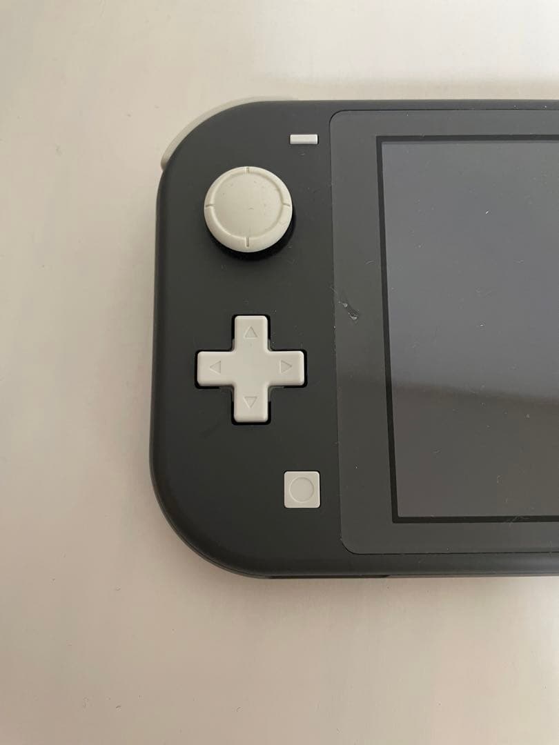 Nintendo Switch Lite 本体 + 充電器 + ケース