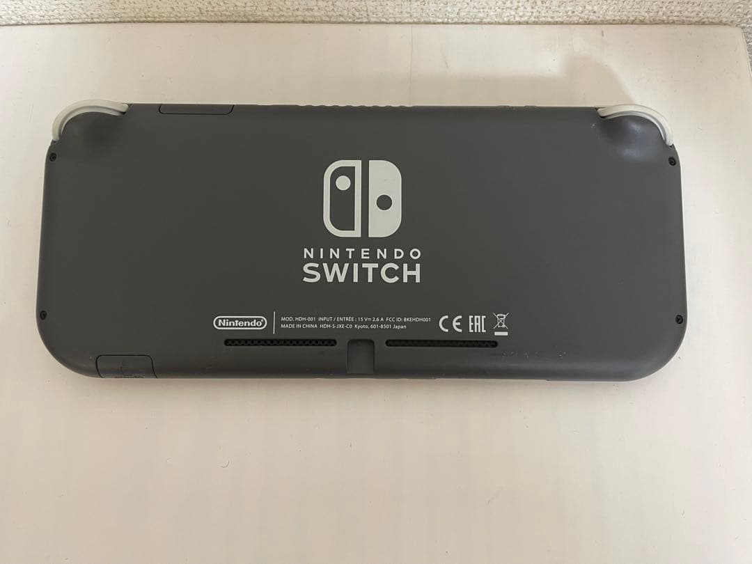 Nintendo Switch Lite 本体 + 充電器 + ケース
