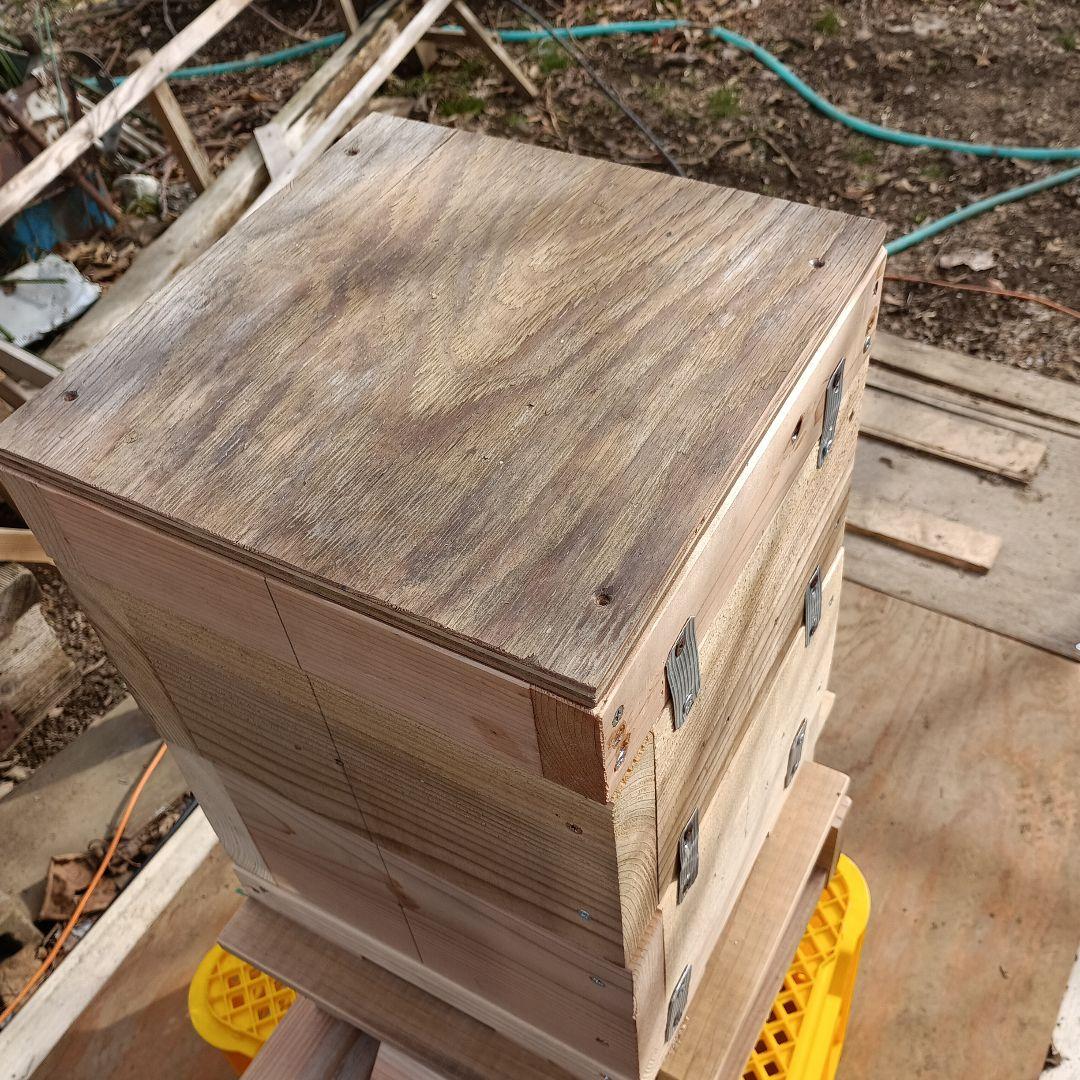 日本蜜蜂巣箱 1式