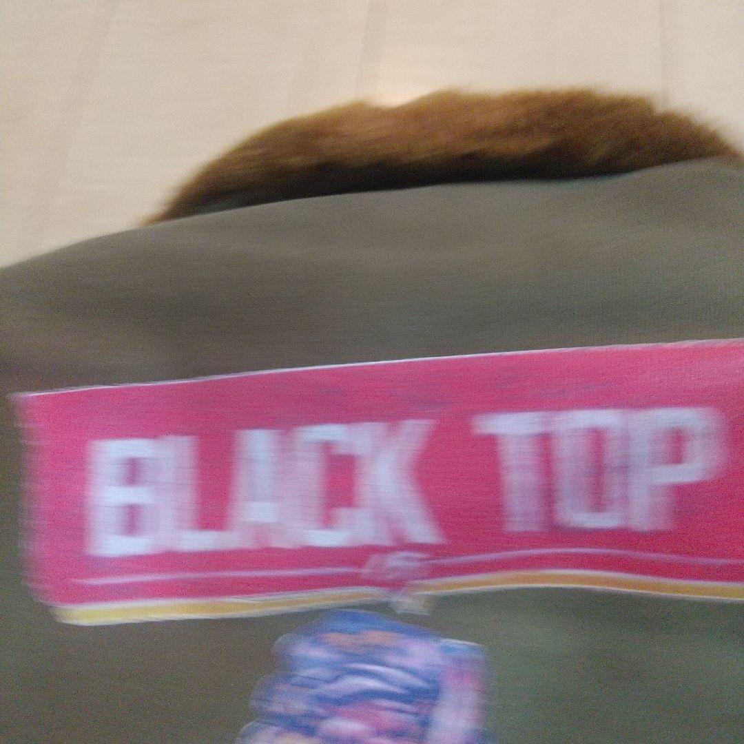 m*3様 激レア！ トイズマッコイ× ブラックトップ別注 B-10 短丈 アルパ