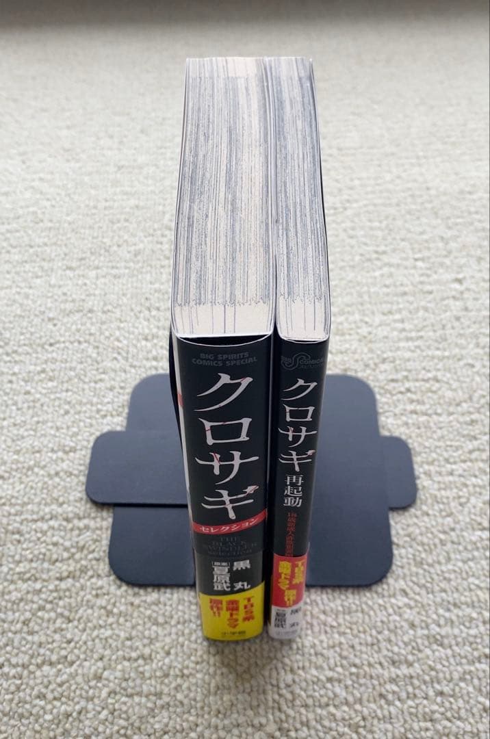 サンクチュアリ【17冊セット】新装版！カモのネギには毒がある！クロサギ！ほぼ新品